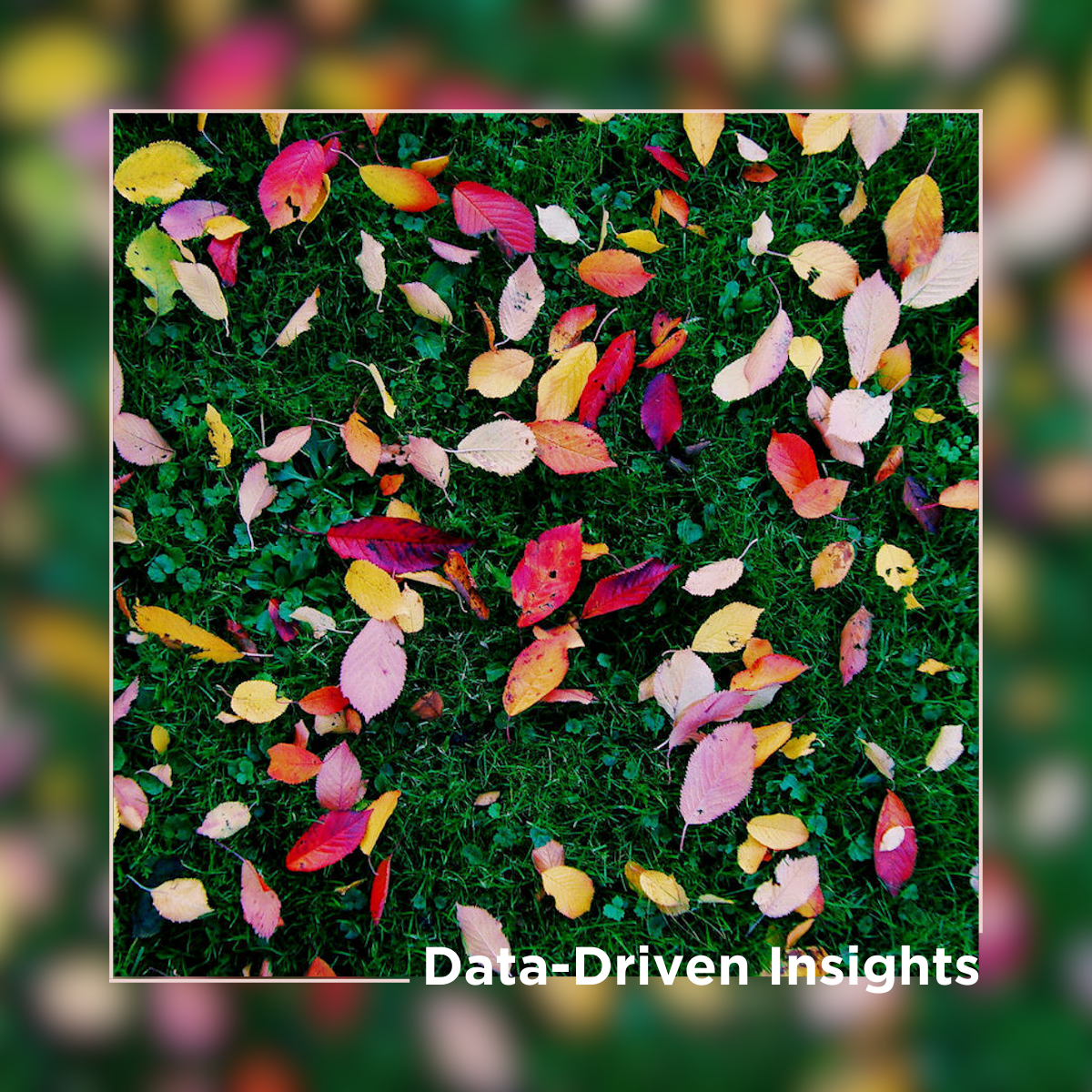 Data-Driven Insights